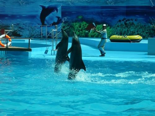 Cảm xúc du lịch Đảo Tuần Châu