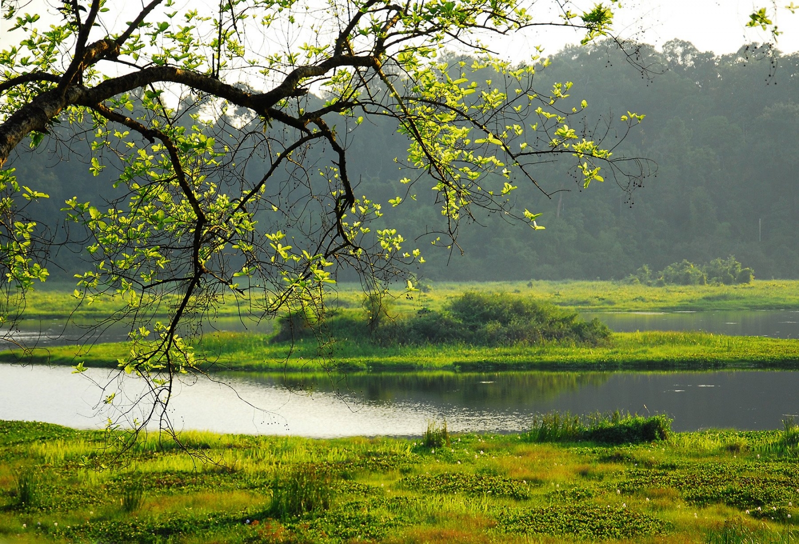 Du lịch hồ Ba Bể