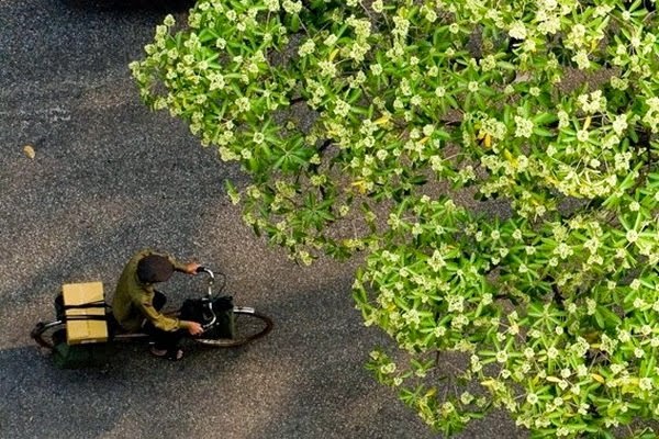 Vẻ đẹp Hà Nội