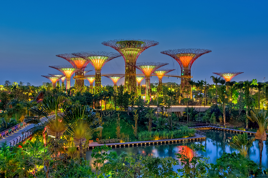 Garden by the bay - Singapore