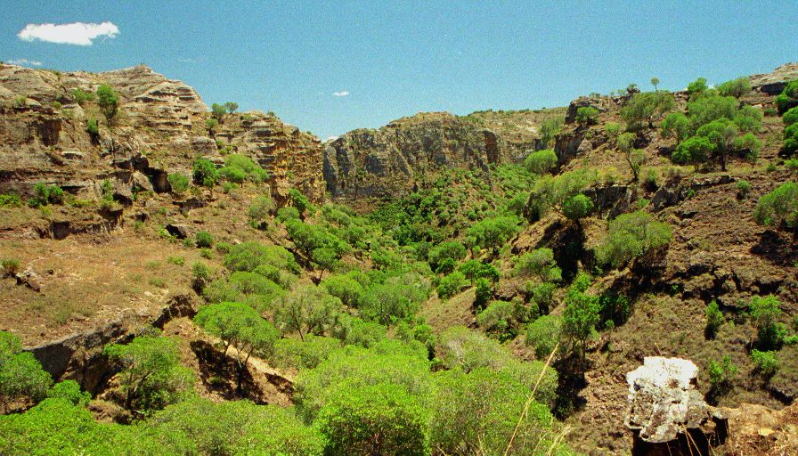 Công viên quốc gia Isalo (Isalo National Park)
