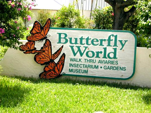 Vườn Bướm Thái Lan