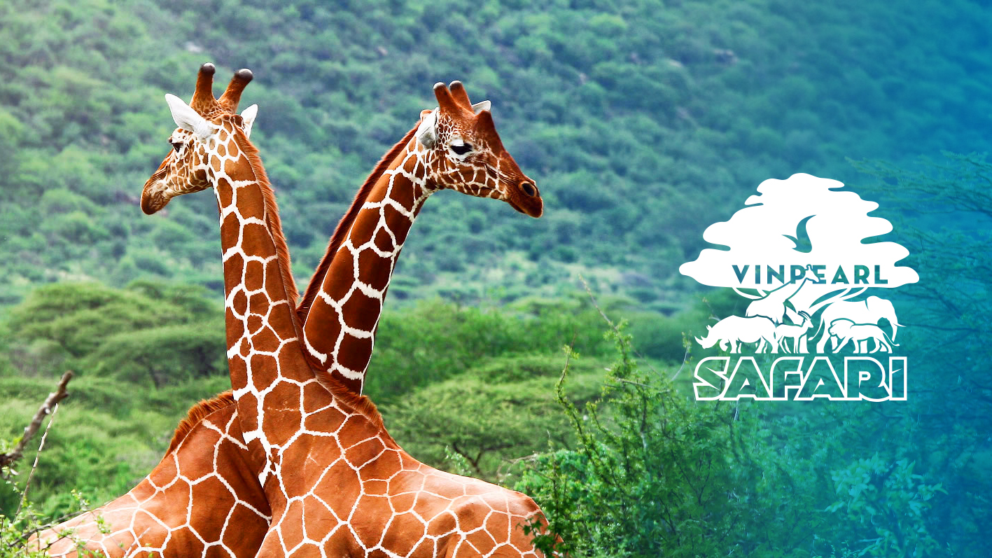  VINPEARL SAFARI - Khu bảo tồn sự sống hoang dã