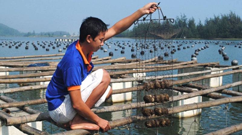 Khu nuôi cấy ngọc trai Phú Quốc