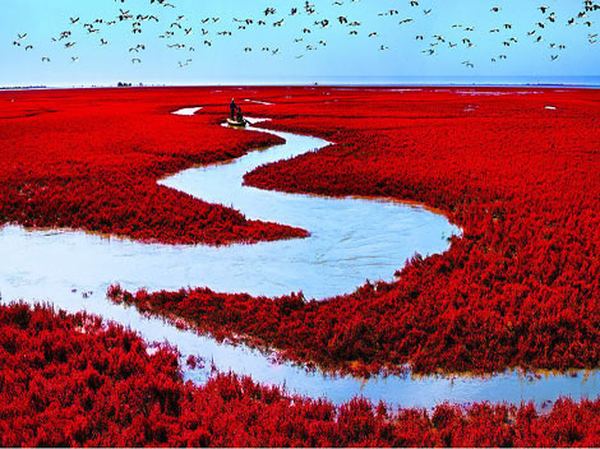 Red Beach