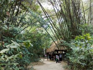 Du lịch Củ Chi: Sài Gòn - Củ Chi - Tây Ninh