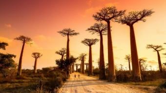 Du lịch Madagascar