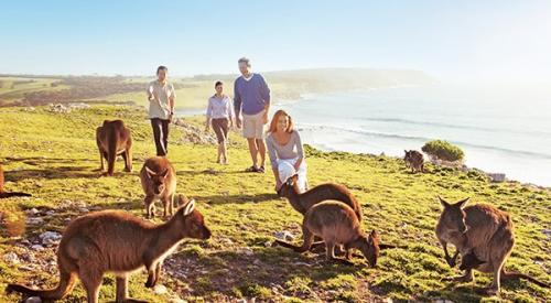 Du lịch Australia - New Zealand