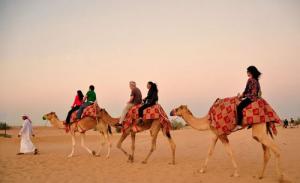 Tour du lịch Dubai:  Hồ Chí Minh - Dubai - Abu Dhabi - Hồ Chí Minh
