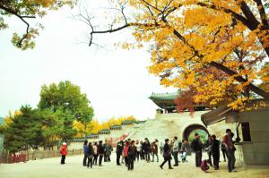 Tour du lịch Hàn Quốc: Hồ Chí Minh - Seoul - Đảo JeJu - Công viên Everland - Hồ Chí  Minh