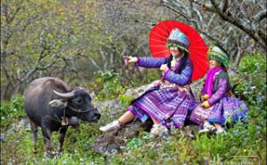 Tour du lịch mùa hoa phương Bắc: Sài Gòn - Mộc Châu - Mai Châu - Sài Gòn