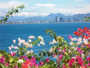 Sài Gòn - Nha Trang - Sài Gòn 4 Ngày/ 3 Đêm (Ô tô)